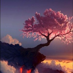 Meet your Posher, Frank